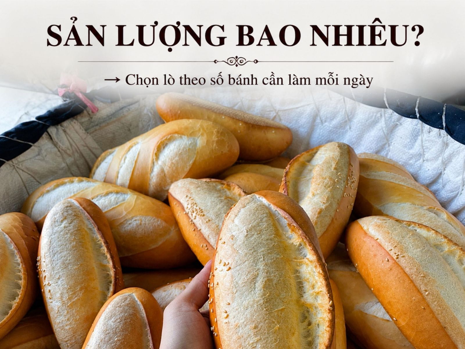 Mua lò nướng bánh mì - Xác định sản lượng cần sản xuất bao nhiêu